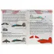 Print Scale PRS48-216 - 1/48 Messerschmitt Me-163B Komet Wet Decals for aircraft model