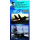 Katran 4852 1/48 F-14A Tomcat Exhaust Nozzles P&W TF-30-F-414 opened HobbyBoss Katran 4852 1/48 F-14A Tomcat Exhaust Nozzles P&W TF-30-F-414 opened HobbyBoss