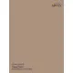 Arcus 554 Enamel paint USAF FS 30279 Desert Sand Saturated color 10ml