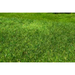 Model Scene F022 Meadow High-grown Early Summer 18/28 Cm Accessories For Diorama