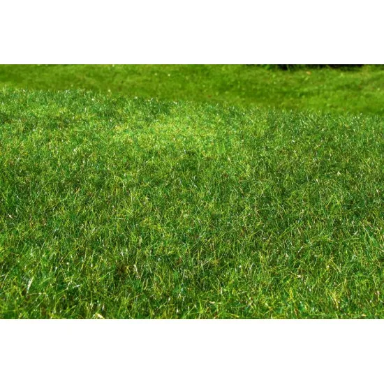 Model Scene F022 Meadow High-grown Early Summer 18/28 Cm Accessories For Diorama