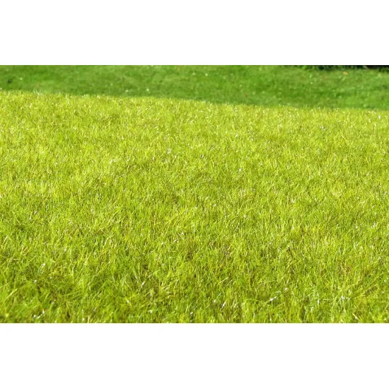 Model Scene F010 Wetland Light The Grass 18/28 Cm Diorama Upgrade Accessories