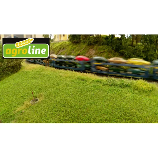 Model Scene F440 1/72 - 1/160 Alfalfa Grass Mats Agro-line 18/28 Cm Accessories For Diorama