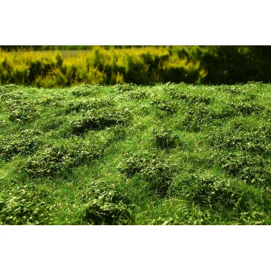 Model Scene F502 Meadow With Low Bushes Early Summer 18/28 Cm Accessories For Diorama