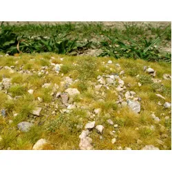 Model Scene F723 Late Summer Stonny Calc 18/28 Cm Diorama Accessories