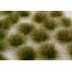 Model Scene 050-43s Two Coloured Tufts Late Summer Diorama Upgrade Accessories Model Scene 050-43s Two Coloured Tufts Late Summer Diorama Upgrade Accessories