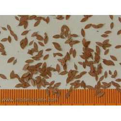 Model Scene L3-205 1/35 Universal Dry Leaves Diorama Upgrade Accessories