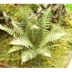 Model Scene Vg3-001 1/32-1/35 Fern Diorama Upgrade Accessories