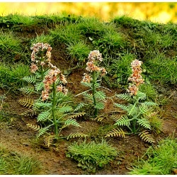 Model Scene Vg3-020 1/32-1/35 Valeriana Diorama Upgrade Accessories