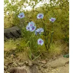 Model Scene Vg3-044 1/32-1/35 Cornflower Diorama Upgrade Accessories