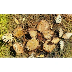 Model Scene Vg3-102 1/32-1/35 Dry Low Jungle Vegetation Diorama Accessories