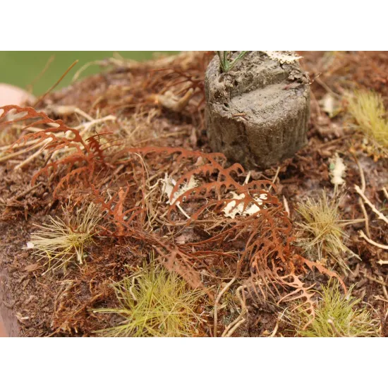 Model Scene Vg7-017 1/72 1/87 Dry Fern Diorama Upgrade Accessories