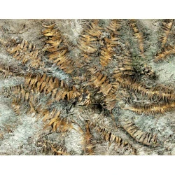 Model Scene Vg7-040 1/72-1/87 Dry Banana Leaves Diorama Upgrade Accessories