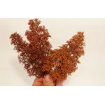 Model Scene 701-05s Minipack Natur Fine Bushes Late Autumn Accessories Kit