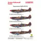Techmod 48024 1/48 Supermarine Spitfire Mk.ix 1943 N.africa Aircraft Wet Decal