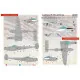 Print Scale 48-260 1/48 Decal For P 38 Lightning In Bare Metal Part 1