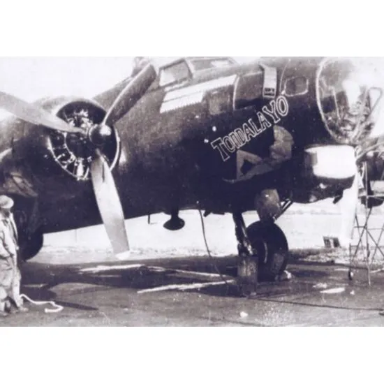 Kits World Kw148043 1/48 Decal For Boeing B-17g Flying Fortress 43-37516/31333