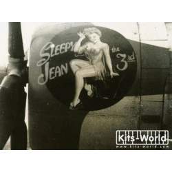 Kits World Kw148059 1/48 Decal For P47 Thunderbolts Of The 368th Fighter Group