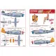 Kits World Kw148114 1/48 Decal For P-47d Thunderbolts Bubbletop