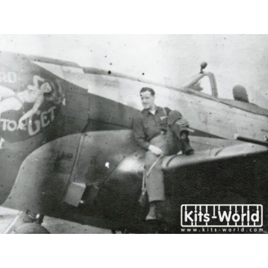 Kits World Kw172045 1/72 Decal For P-47 Thunderbolt Of The 368th Fighter Group