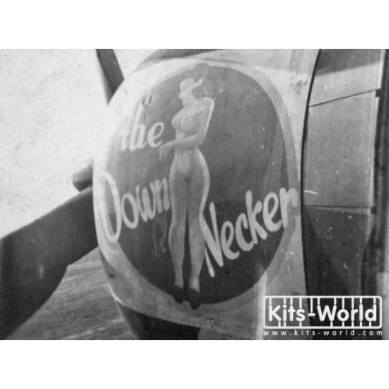 Kits World Kw172045 1/72 Decal For P-47 Thunderbolt Of The 368th Fighter Group