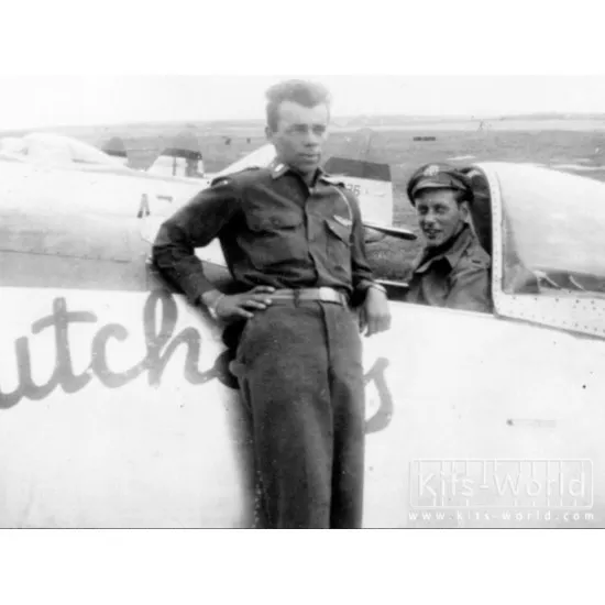 Kits World Kw172045 1/72 Decal For P-47 Thunderbolt Of The 368th Fighter Group