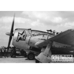 Kits World Kw172083 1/72 Decal For Thunderbolt P-47n P-47n-2-re 119