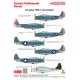 Techmod 48808 1/48 Decal For Tbd-1 Devastator Accessories For Aircraft