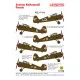 Techmod 72120 1/72 Decal For Pzl P-11c Accessories For Aircraft