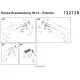 Hgw 132149 1/32 Hansa-brandenburg. W.12 Super Detail Set For Wingnut Wings