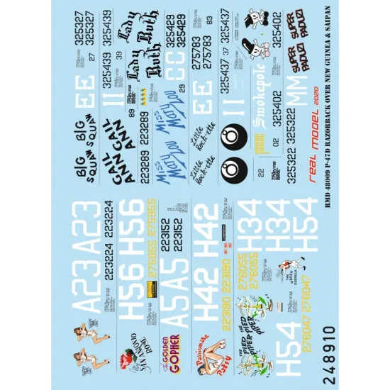 Hgw 248910 1/48 Decal For P-47d Razorback Over New Guinea And Saipan Wet Transfer