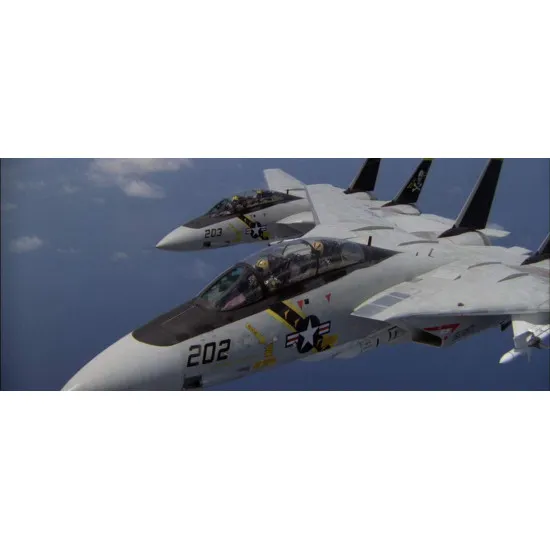Had Models 48251 1/48 Decal Fot F-14a Jolly Rogers In Action In The Final Countdown