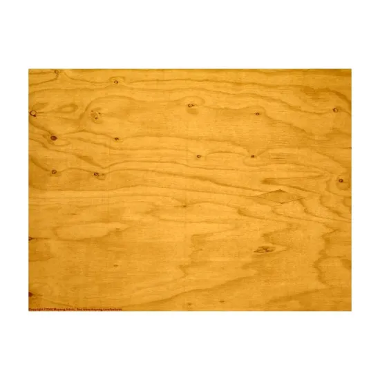 Hgw 532013 1/32 Decal Bright Pine Tree Transparent 20 Pcs 60 X 32 Mm Segments