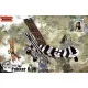 Roden 415 1/48 Fokker D.vii Fokker-built Early Military Aircraft