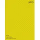 Arcus N010 Nitro Paints Clear Yellow Clear Varnish 10ml.