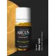 Arcus N013 Nitro Paints Clear Gold Clear Varnish 10ml.