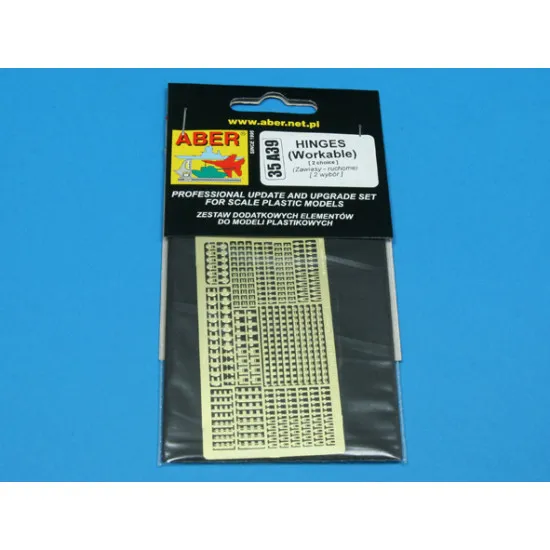 Hinges (Workable) - 2 choice 1/35 Aber 35-A39