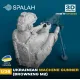 Spalah 14535 1/35 Figure Ukrainian Machine Gunner Browning M2 1pcs