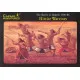 Hittite Warriors 1/72 Ceasar Miniatures H008