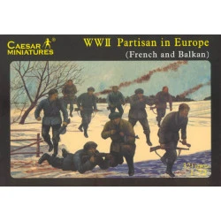 WWII Partisan in Europe