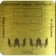Lmg Ba-72003 1/72 Raf 1000lb Mk 1 2 Bomb Fins Thickness 0-1mm