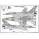 Model Maker Md72223 1/72 Polish F-16c - Raven 2