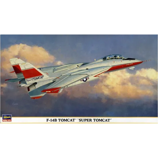 Grumman F-14 Tomcat 1/72 Hasegawa 00898