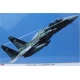 F-15DJ AGGRESSOR 2008 1/48 Hasegawa 09832