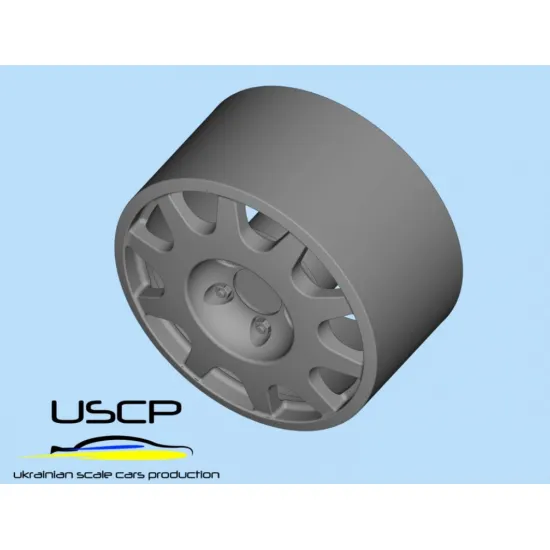 Uscp 24p200 1/24 Oz Racing Gravel Wrc 15 Accessories Kit