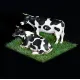 White Stork Miniatures F72002 1/72 Cows Resin, Unpainted, Unassembled Kit