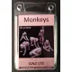 White Stork Miniatures F72076 1/72 Monkeys Resin Unassembled Unpainted Kit