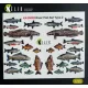 Kelik Ka35002 1/35 River Fish Set Type 2 3d Decal For Dioramas