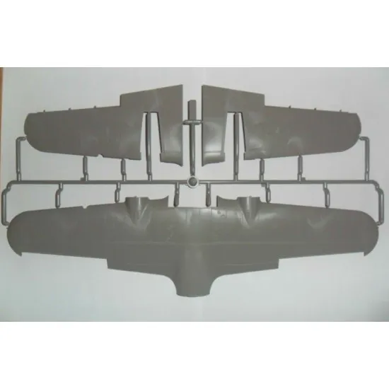 Do 215B-4 WWII German reconnaissance plane 1/48 ICM 48241