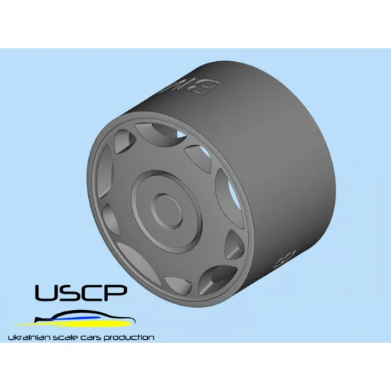 Uscp 24p019 1/24 Bmw Radkappen 16 Resin Model